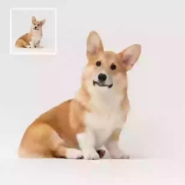 이미지를 비디오로 변환하는 생성기 - 사진으로 고품질 비디오 만들기