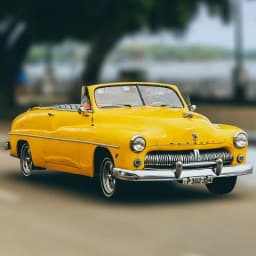 배경 흐림 placeholder