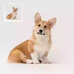 이미지에서 동영상으로 placeholder