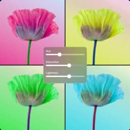 이미지 HSL placeholder